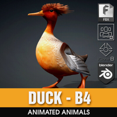 Duck-B4-Animated