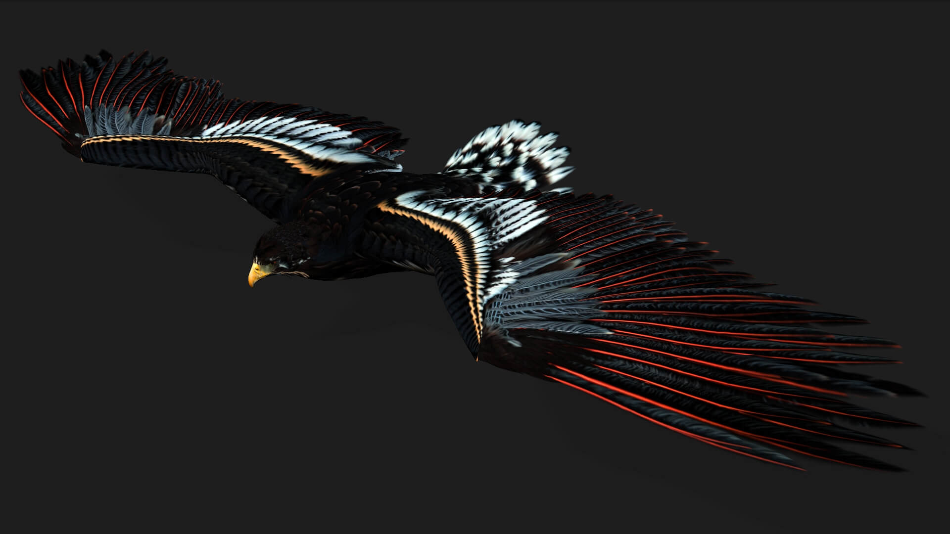 Eagle A1 Animated - 3D Model by Animated3d