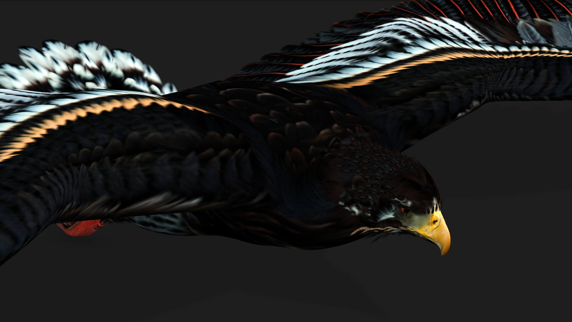 Eagle A1 Animated - 3D Model by Animated3d