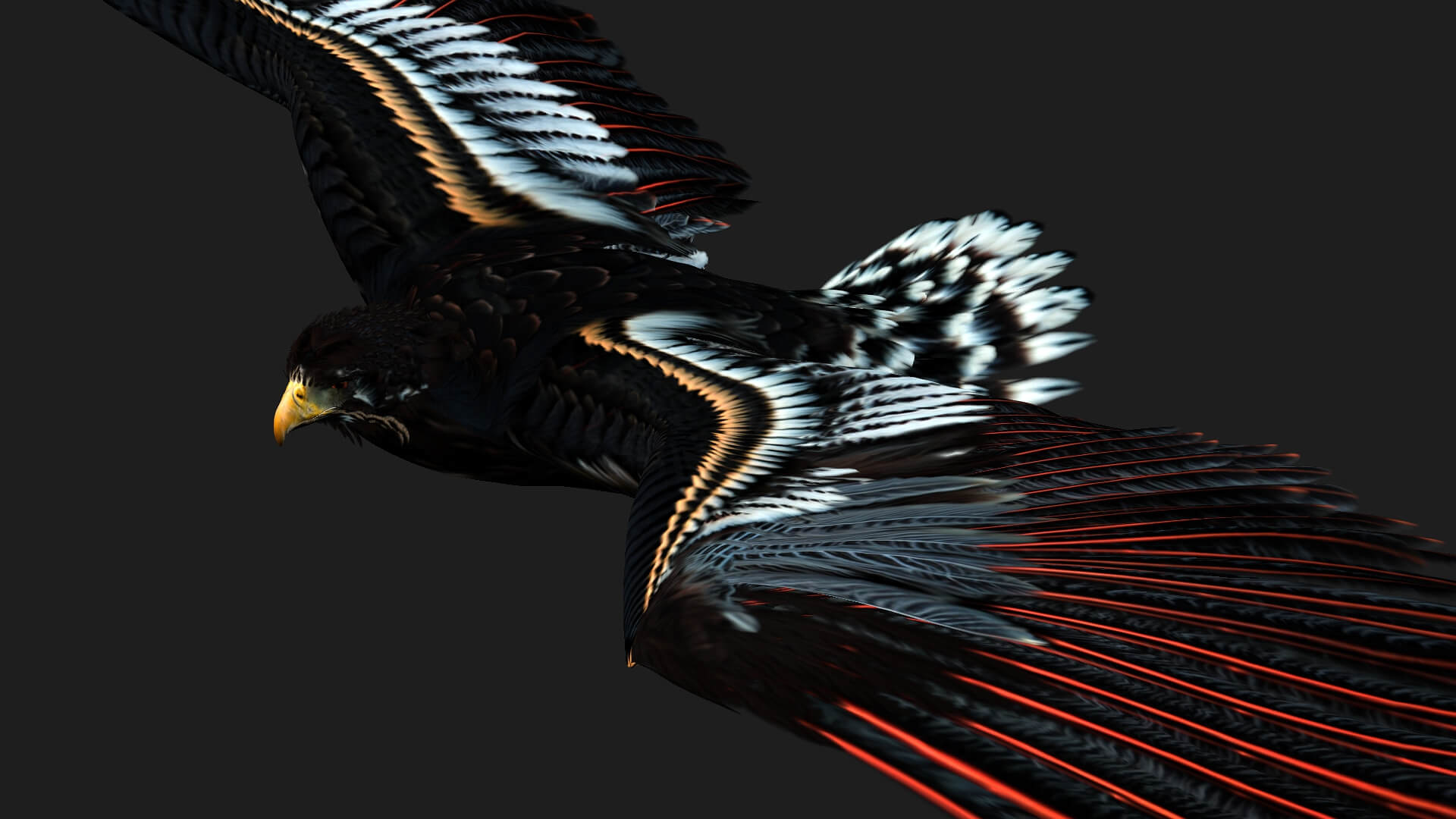 Eagle A1 Animated - 3D Model by Animated3d