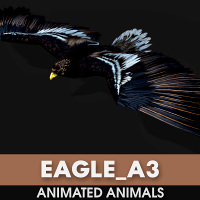Eagle A3 Animated