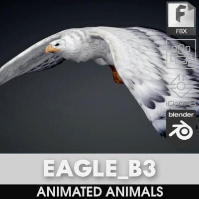 Eagle-B3-Animated