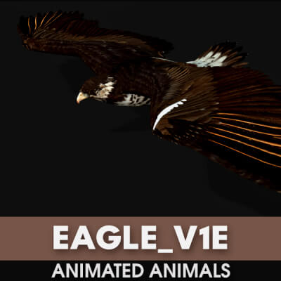 Eagle V1E Animated