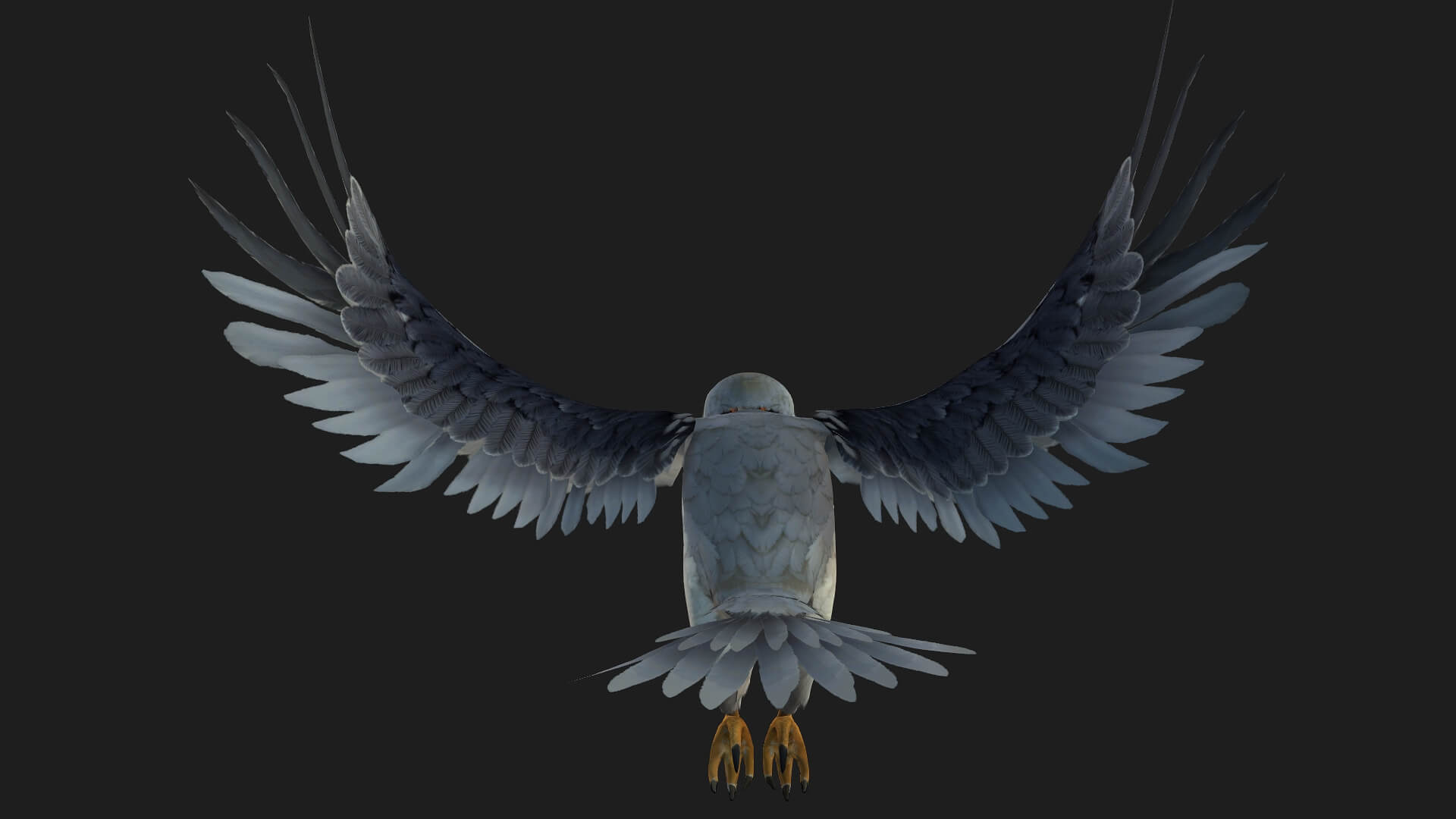 Falcon-A1-Animated 3D Model by Animated3d