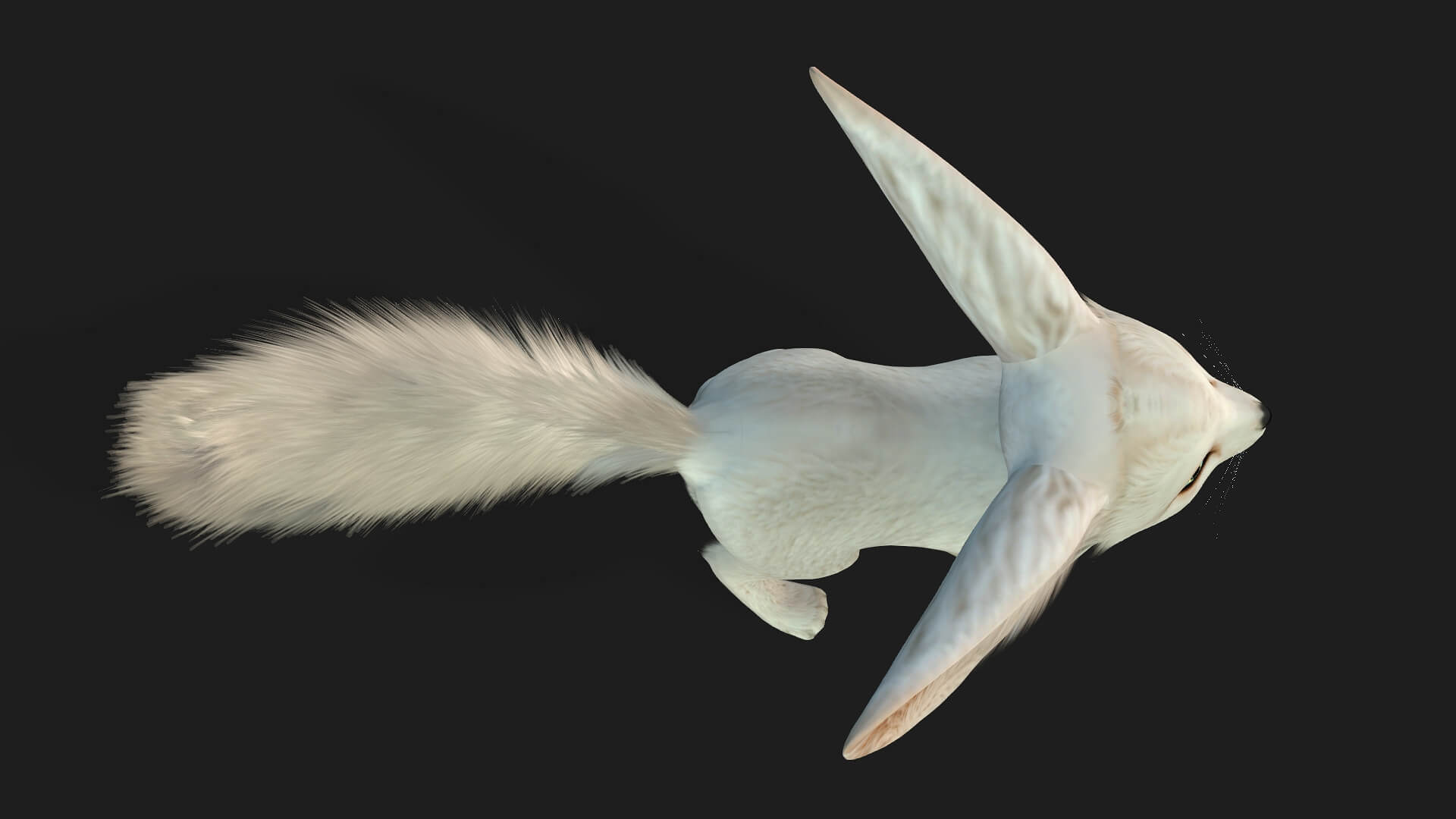 Fox-B3-Animated 3D Model by Animated3d