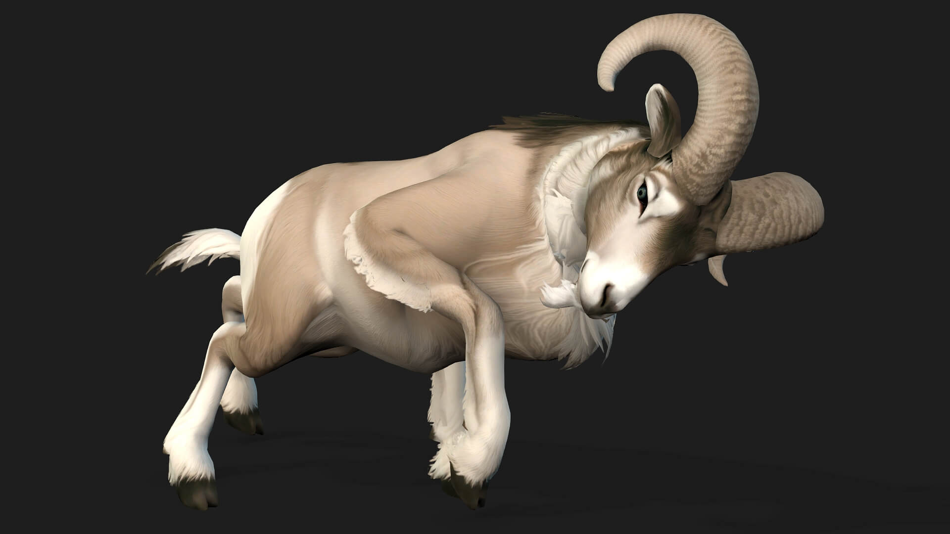 Goat-B3-Animated 3D Model by Animated3d