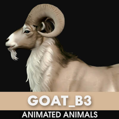 Goat-B3-Animated