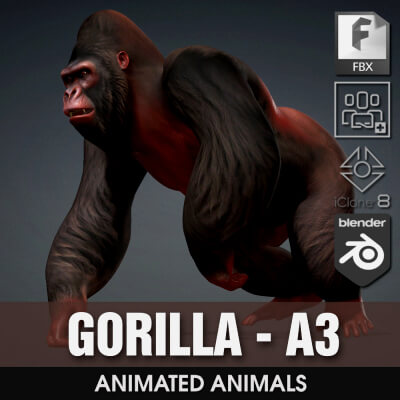 Gorilla-A3-Animated