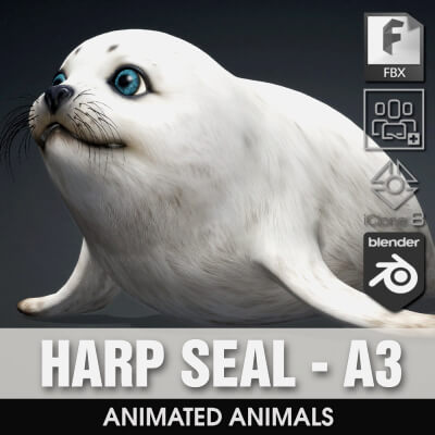 Harp Seal-A3