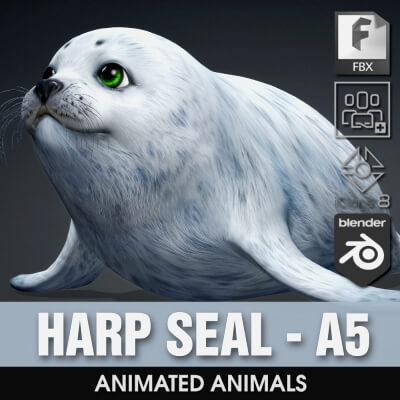 Harp Seal-A5