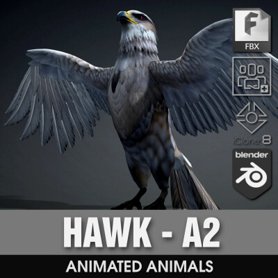 Hawk-A2-Animated by Animated3d