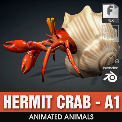 Hermit Crab-A1