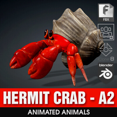 Hermit Crab-A2