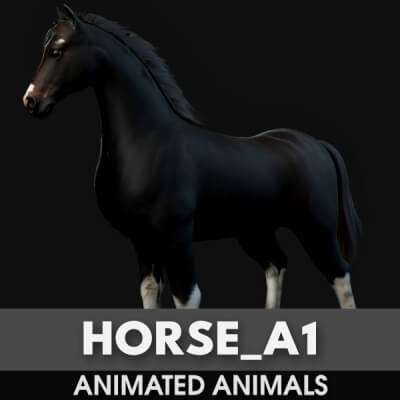 Horse A1 Animated