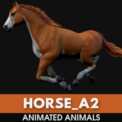 Horse A2 Animated
