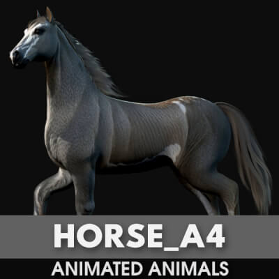 Horse A4 Animated