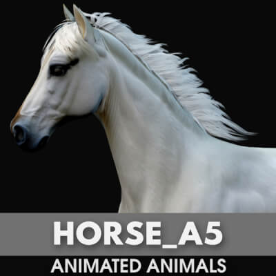 Horse A5 Animated