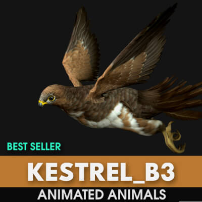 Kestrel B3 Animated