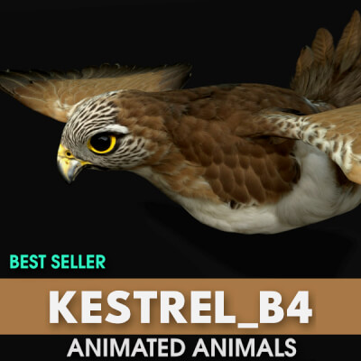 Kestrel B4 Animated
