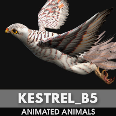 Kestrel B5 Animated
