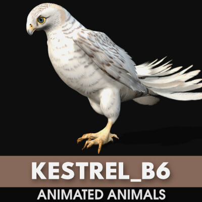 Kestrel B6 Animated