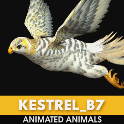 Kestrel B7 Animated