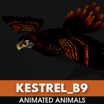 Kestrel B9 Animated
