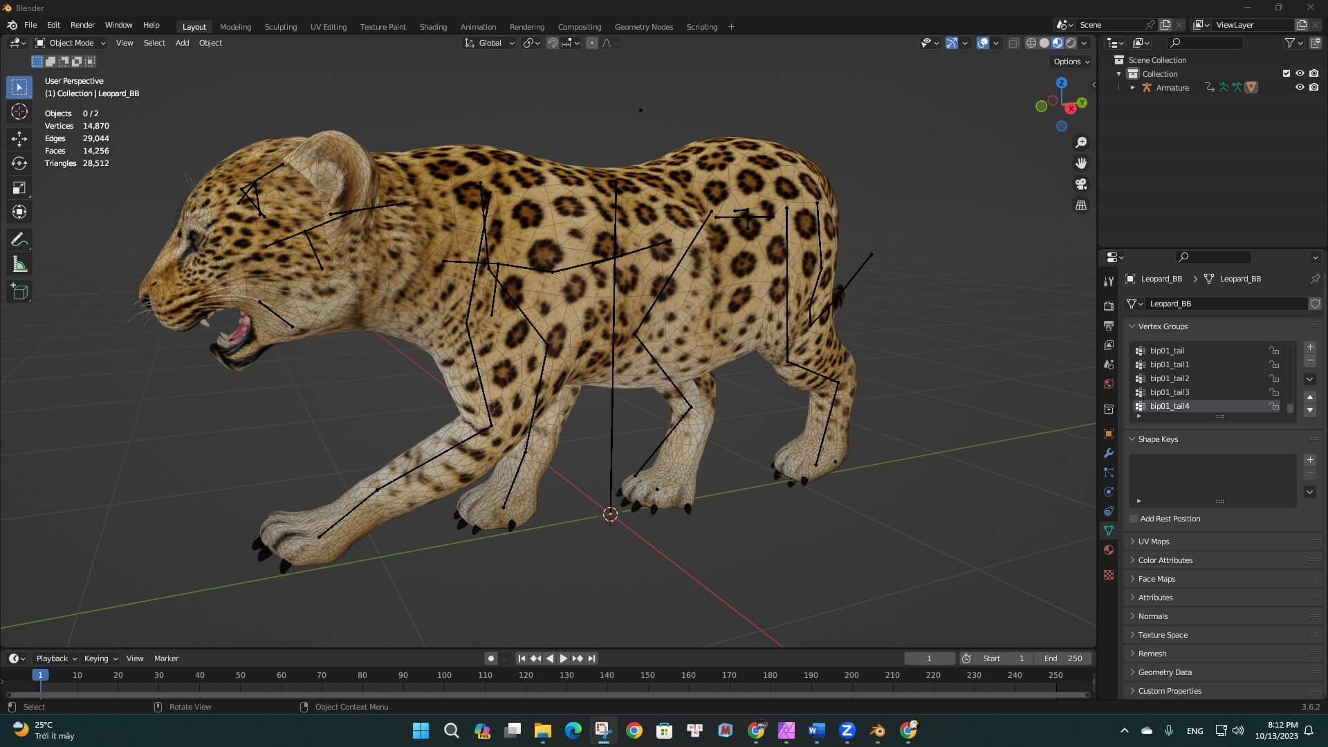 Leopard Baby A1 - 3D Model by Animated3d