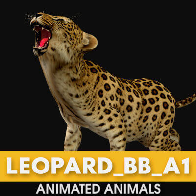 Leopard Baby A1