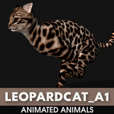 Leopardcat A1