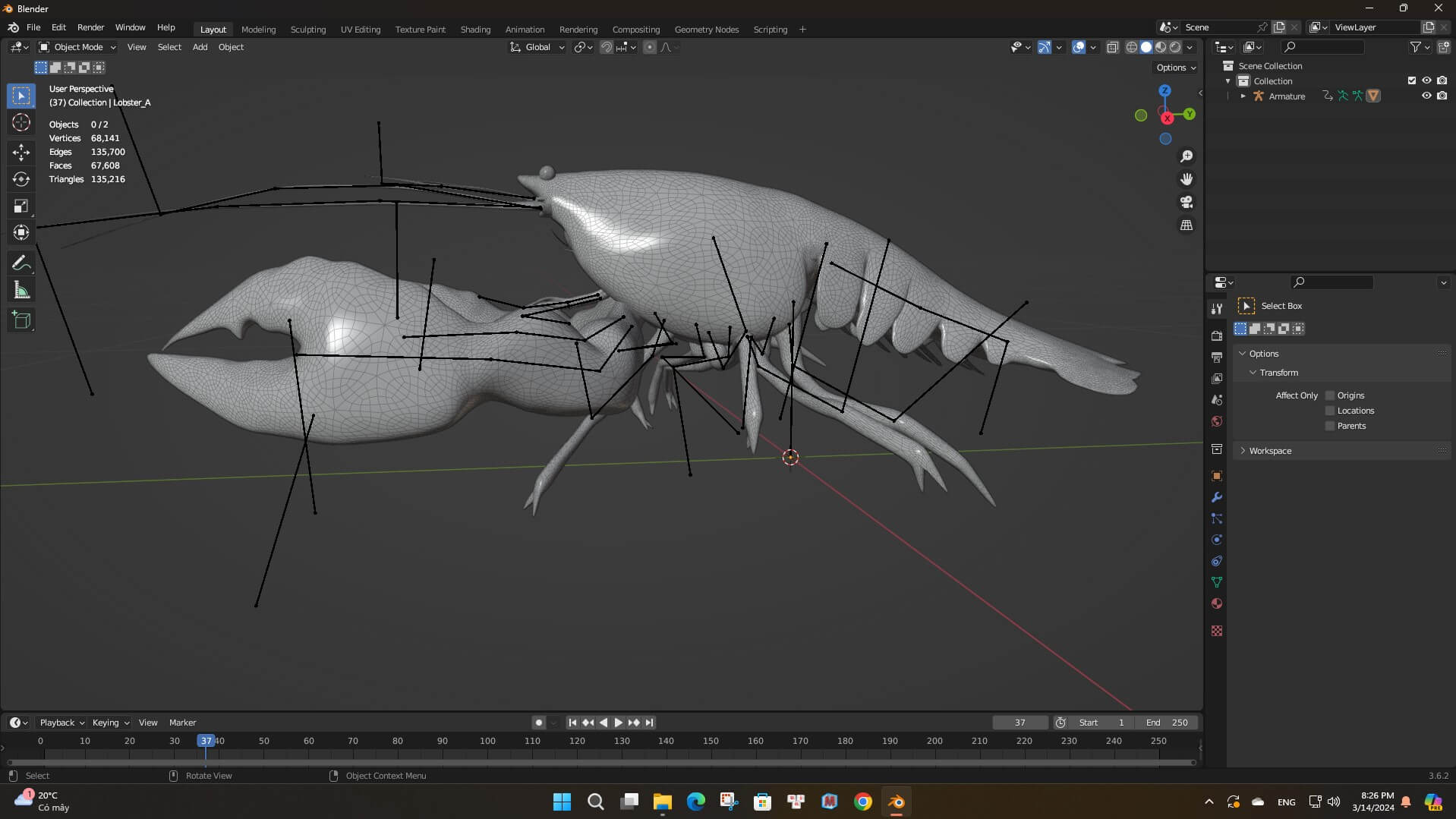 Lobster-A1-Animated 3D Model by Animated3d