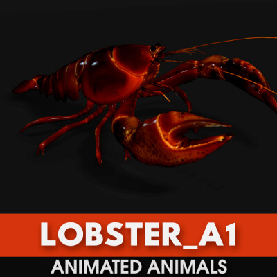 Lobster-A1-Animated