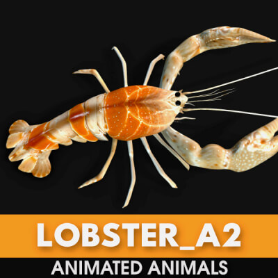 Lobster-A2-Animated