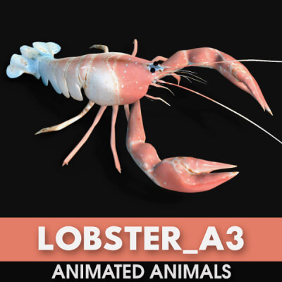 Lobster-A3-Animated