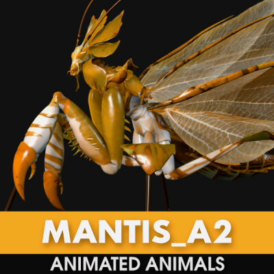Mantis-A2-Animated