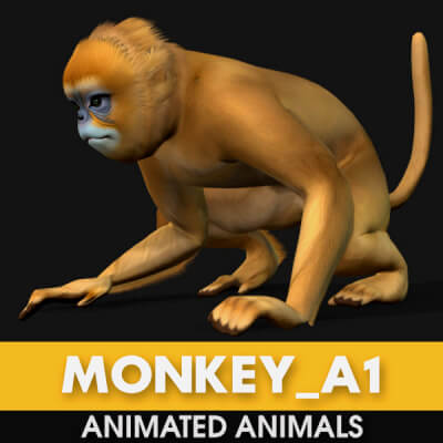 Monkey-A1-Animated