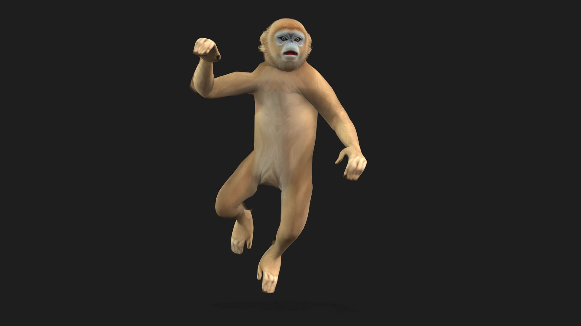 Monkey-A2-Animated 3D Animation by Animated3d