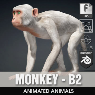 Monkey-B2-Animated