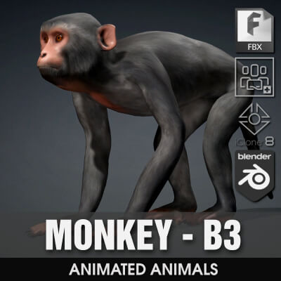 Monkey-B3-Animated
