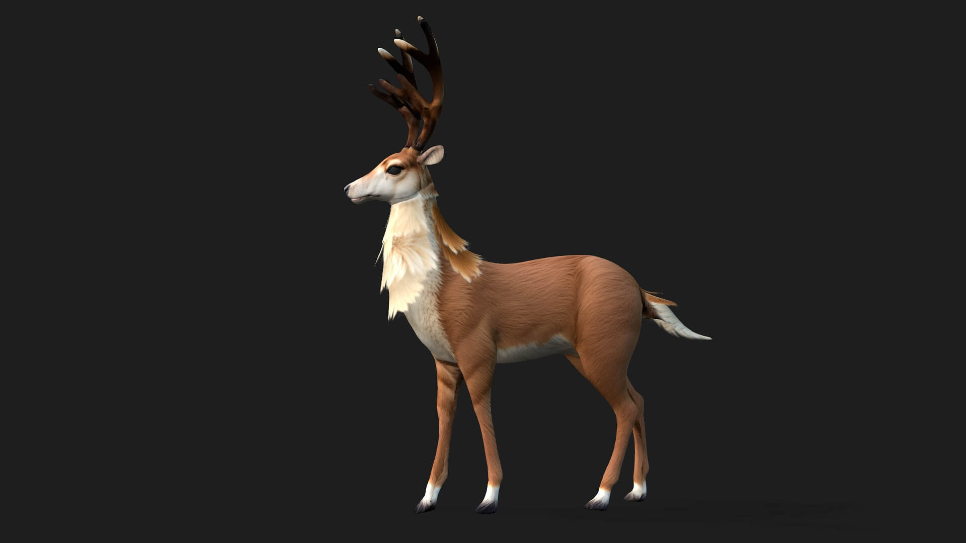 Moose A1 Animated - 3D Model by Animated3d