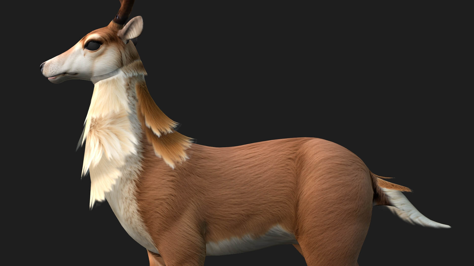 Moose A1 Animated - 3D Model by Animated3d