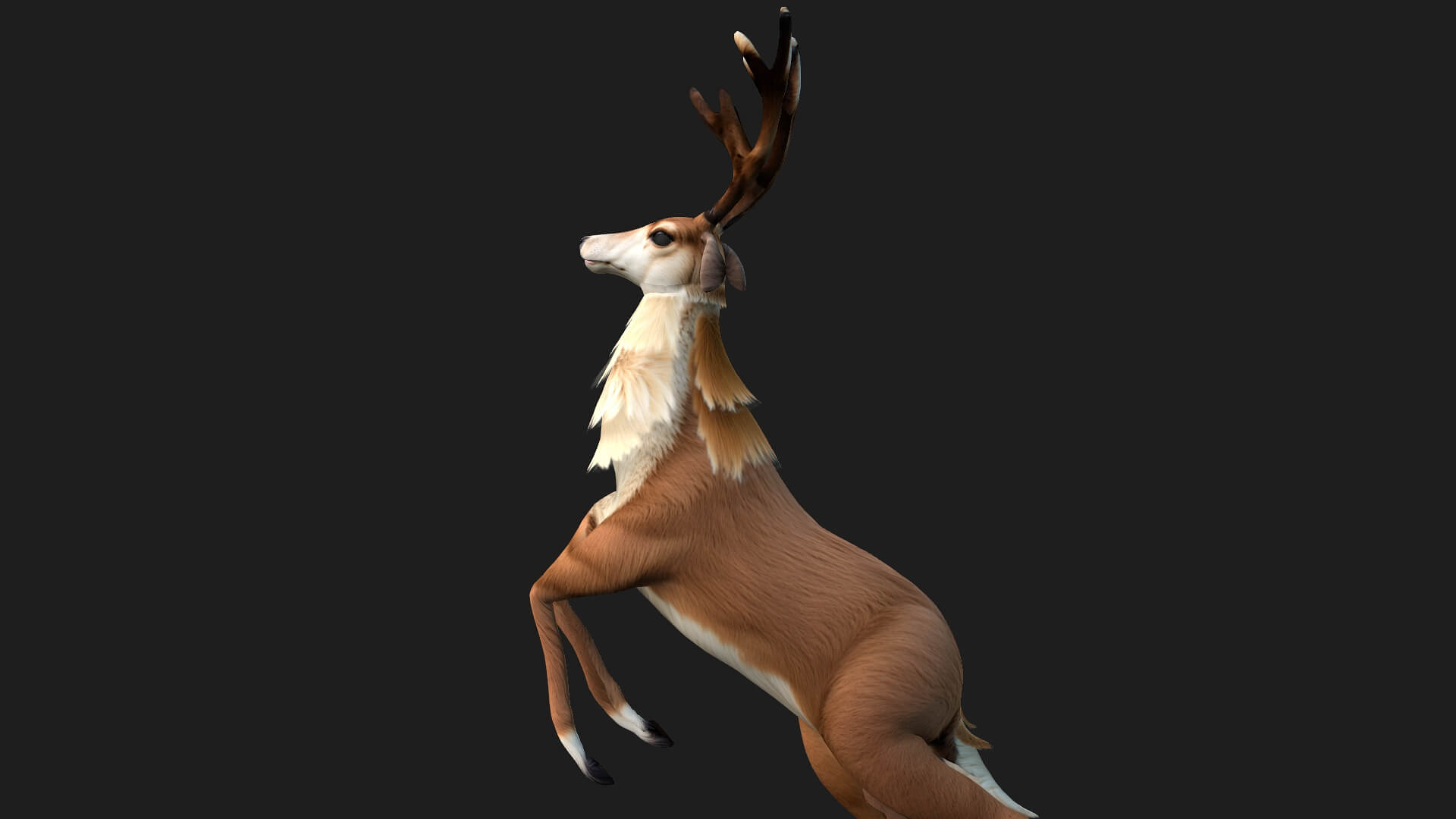 Moose A1 Animated - 3D Model by Animated3d