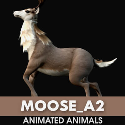 Moose A2 Animated
