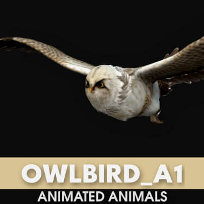 Owlbird A1 Animated