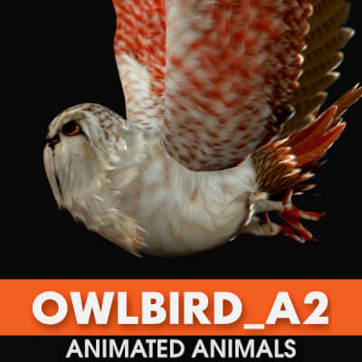 Owlbird A2 Animated
