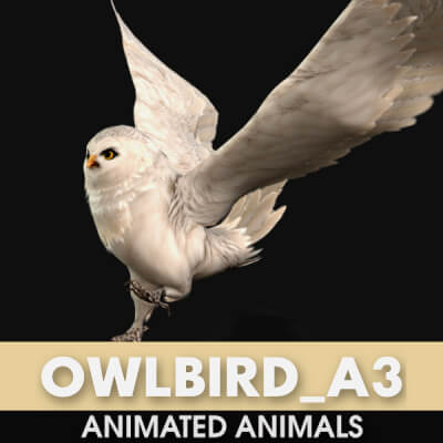 Owlbird A3 Animated