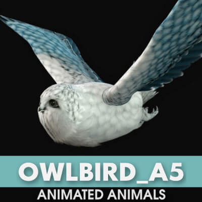 Owlbird A5 Animated