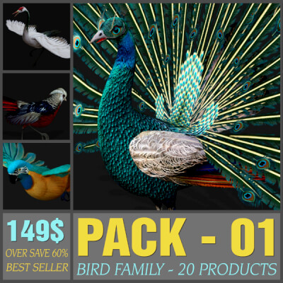 Pack-01-Bird Family