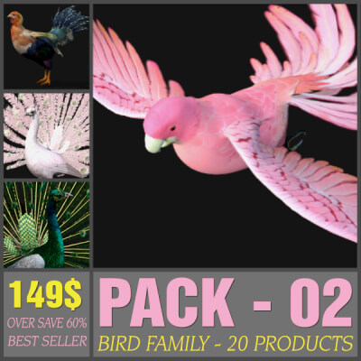 Pack-02-Bird Family