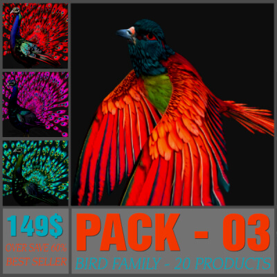Pack-03-Bird Family